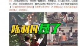 小厨合伙人爆料视频播放,揭秘幕后真相与精彩瞬间
