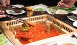 港城美食爆料视频大全最新,最新爆料视频大全精彩呈现