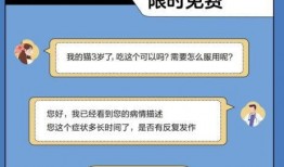 医养宠物医院最新爆料,宠物健康护理新趋势